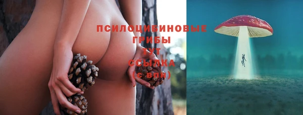 ECSTASY Баксан